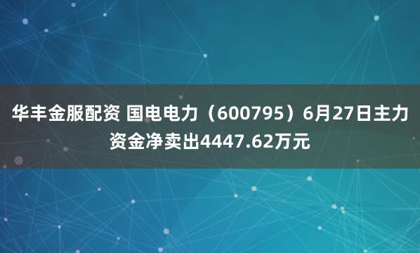 华丰金服配资 国电电力（600795）6月27日主力资金净卖出4447.62万元