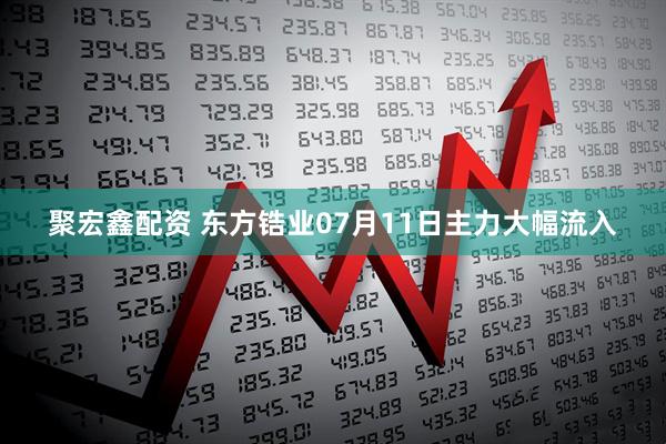 聚宏鑫配资 东方锆业07月11日主力大幅流入
